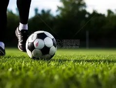 申花遗憾错,失冠军,斯卢茨基炮,乐鱼体育LeYu,Sports官网,LeYu,Sports乐鱼体育娱乐,乐鱼体育投注,乐鱼体育平台,乐鱼体育赛事直播,乐鱼体育app下载