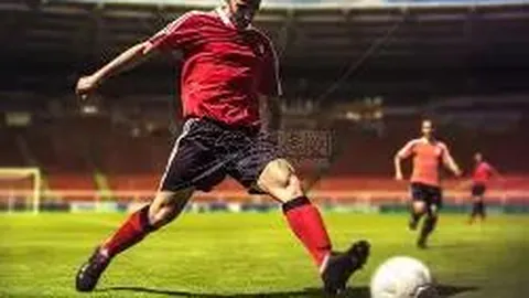 乐鱼体育 资讯 174156 sux