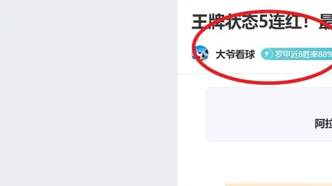 揭秘意甲风云：老妇人在萨索洛主场两度折戟，独家解析背后的故事！