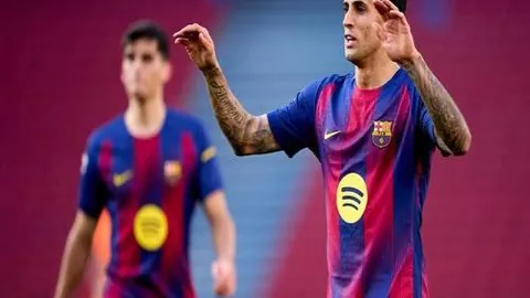 深度解析：“马工程”全景图一览